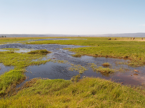 Lake Nakuru National Park